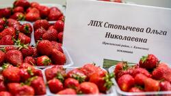 Белгородцы смогут приобрести продукцию местных фермеров с 10 по 14 июня