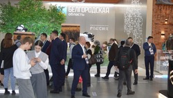 Делегации Алексеевского городского округа и Красненского района побывали на выставке-форуме «Россия»