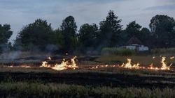 Белгородские власти продлили противопожарный режим до 31 мая 