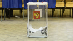 Члены избирательной комиссии Алексеевского округа провели выездной предвыборный семинар