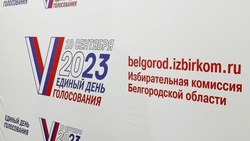 Вячеслав Гладков пригласил жителей региона проголосовать на выборах