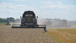 Красненские аграрии завершили уборочную ранних зерновых на 95%