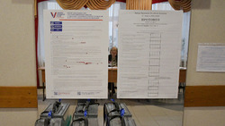 Постановление Красненской территориальной избирательной комиссии от 17 марта 2024 года №40/292-1