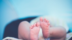 Алексеевский отдел ЗАГС зарегистрировал 11 новорождённых с начала 2020 года