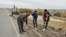 Энергетики завершат реконструкцию освещения автодороги Алексеевка – Ильинка в ноябре