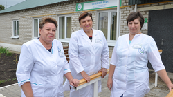 Медики Алексеевского района отметили профессиональный праздник