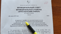 Решение Муниципального совета Красненского района от 26.03.2019 г. №68