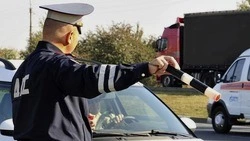 115 тыс. белгородских школьников приняли участие в олимпиаде «Безопасные дороги»