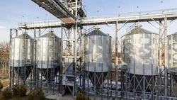 Вячеслав Гладков: в Белгородской области произвели более 160 млн бутылок подсолнечного масла