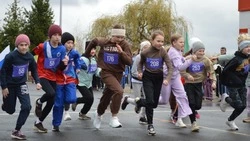 Легкоатлетический кросс памяти тренеров Виктора Зенина и Александра Нерубенко прошёл в Алексеевке