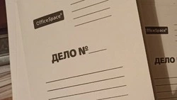 Красненский юноша обманул маркетплейс на сумму более 240 тысяч рублей