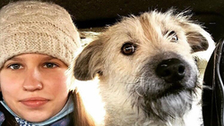 Алексеевская школьница помогла некоторым бездомным животным найти хозяев