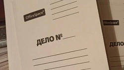 Две жительницы Алексеевки украли из магазина продукты