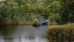 Власти Алексеевского округа сообщили о дате начала работ по очистке реки Тихая Сосна