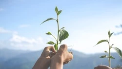 Белгородский центр экологической безопасности пригласил желающих принять участие в «ЭКОкомпании»