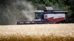 Вячеслав Гладков – о высоких показателях урожайности по итогам уборочной кампании в 2025 году