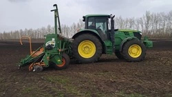 Сев ранних зерновых культур стартовал в Красненском округе