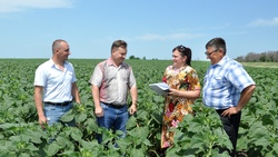 Алексеевская сельскохозяйственная комиссия убедилась в положительных прогнозах на урожай