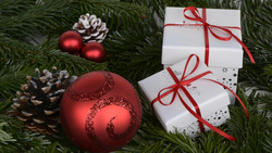 Более 150 тысяч белгородских детей получат к новому году бесплатные подарки