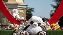 Вячеслав Гладков: фракция ЛДПР направит средства предвыборной агитации в Фонд помощи раненым детям