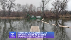 Жители Алексеевки приняли работы по очистке очередного участка реки Тихая Сосна