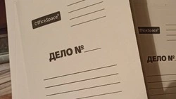 Алексеевец пытался угнать автомобиль жительницы муниципального округа
