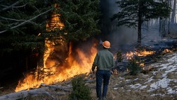 МЧС зафиксировало 266 ландшафтных пожаров в регионе за этот год