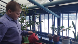 Алексеевские натуралисты начали подготовку к региональной выставке-конкурсу