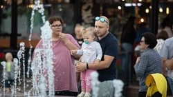 Вице-премьер РФ Дмитрий Григоренко прокомментировалл работу Единой биометрической системы