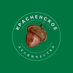 Красненское лесничество ограничило пребывание граждан в лесах