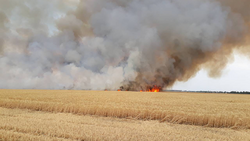 Красненские пожарные предостерегли аграриев от возгорания на поле
