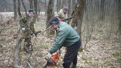 Красненские инспекторы леса приняли активное участие в субботниках
