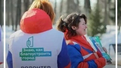 Более 230 белгородцев зарегистрировались для помощи в голосовании за проекты благоустройства
