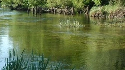 Подарок дикой природы. Алексеевец рассказал об удивительном месте города