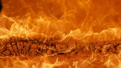 Более 40 белгородцев погибли в пожарах за первое полугодие 2020 года