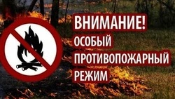 Алексеевский отдел надзорной деятельности предостерёг жителей о начале пожароопасного периода