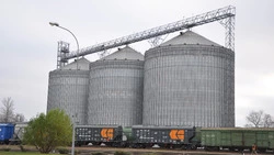 Алексеевский «Элеватор» увеличил приёмку сырья в четыре раза с 2013 года