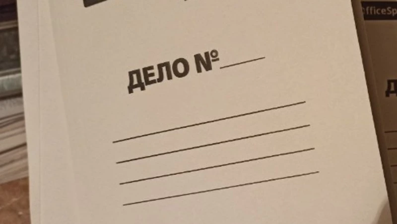 Жительница Красненского округа заплатит 55 тысяч рублей за «потрёпанное» ухо школьника