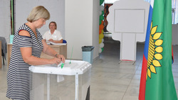 Первый день выборов стартовал в Белгородской области 
