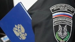 Более 400 охотничьих билетов белгородцы получили дистанционно с начала 2025 года