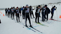 Алексеевцы приняли участие в лыжной Спартакиаде трудящихся