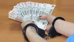 Налоговики предупредили алексеевцев об уголовном преследовании за фиктивный бизнес