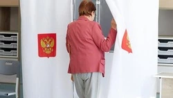 Вячеслав Гладков отметил хорошую организацию выборов в Белгородской области