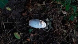 Вячеслав Гладков сообщил о 320 обращениях от жителей региона о подозрительных предметах 