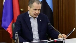 Вячеслав Гладков: в 2024 году в семьях участников СВО из Белгородской области родилось 360 детей