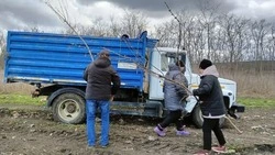 Красненский округ подключился к региональному флешмобу #Экочеллендж31