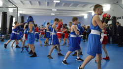 Зал бокса «Айсберг» после капитального ремонта открылся в Алексеевке