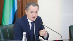 Губернатор Белгородской области прокомментировал ситуацию вокруг Донбасса
