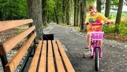 Алексеевские госавтоинпекторы подвели итоги мероприятия «Безопасная дорога в школу»