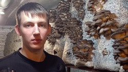 Житель Щербаково Алексеевского горокруга занялся выращиванием грибов